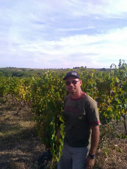 Dans les vignes.jpg